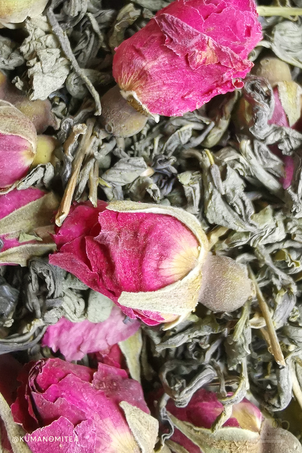 Evenrose